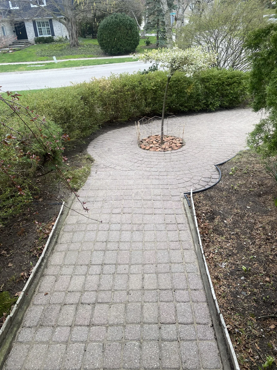 Cleaned curved interlock walkway beside a garden